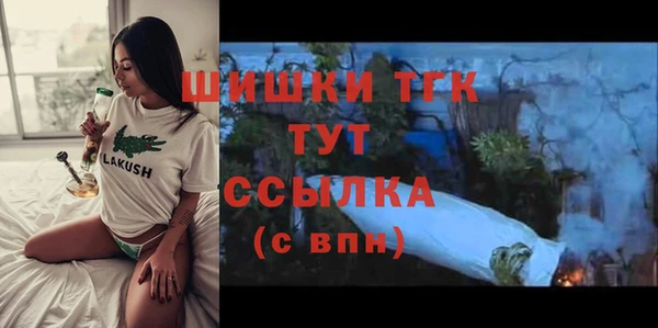 соль ск Новодвинск
