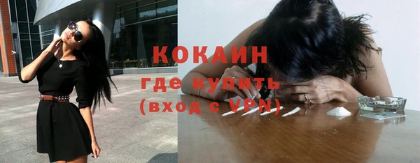 шишки Новозыбков