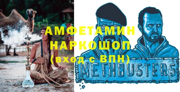 шишки Новозыбков