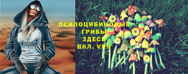 шишки Новозыбков