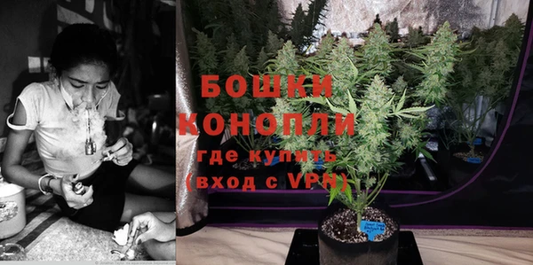 шишки Новозыбков