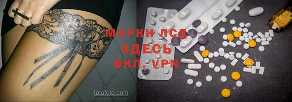 шишки Новозыбков