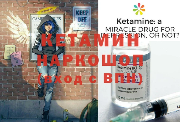 шишки Новозыбков